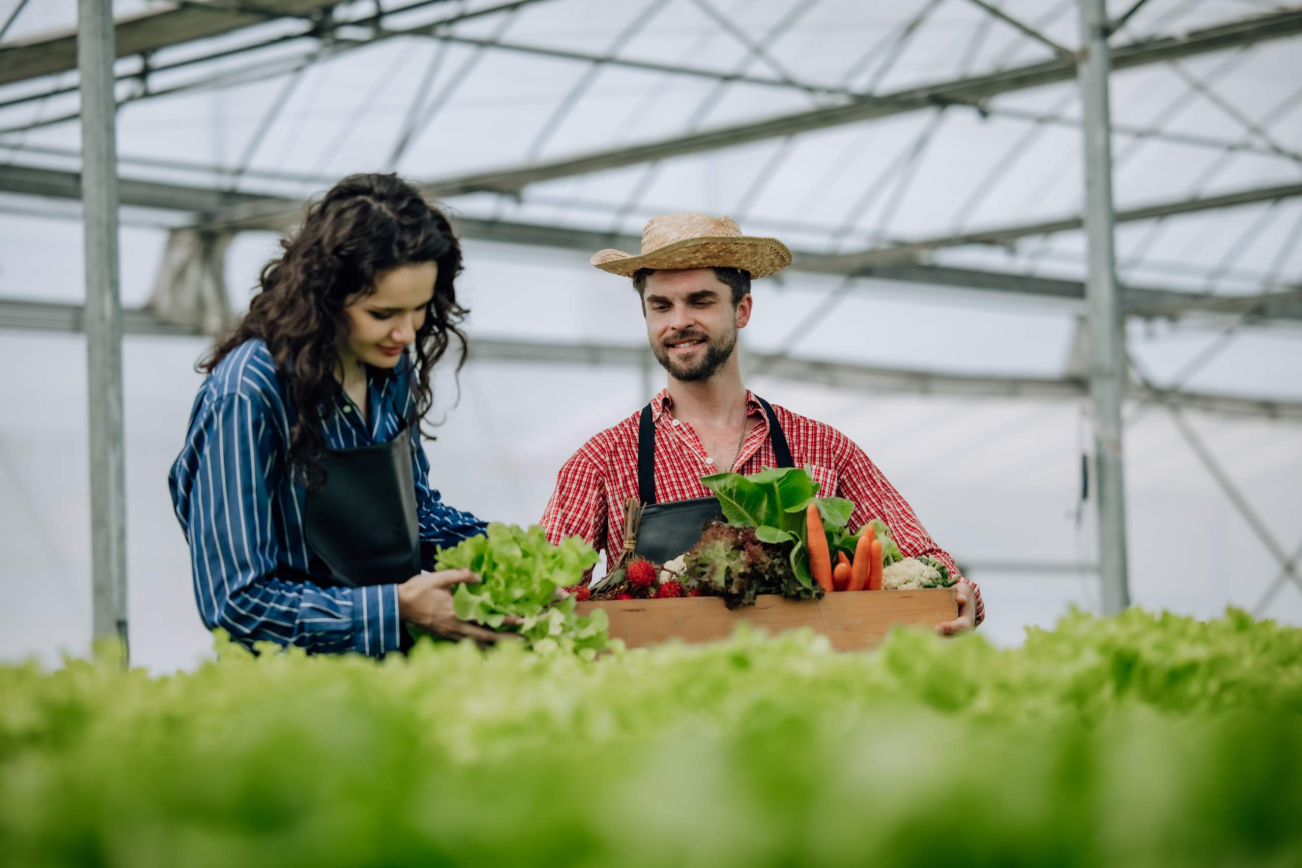 5 Basic Tips to Improve Soil Health and Get Better Farming Results