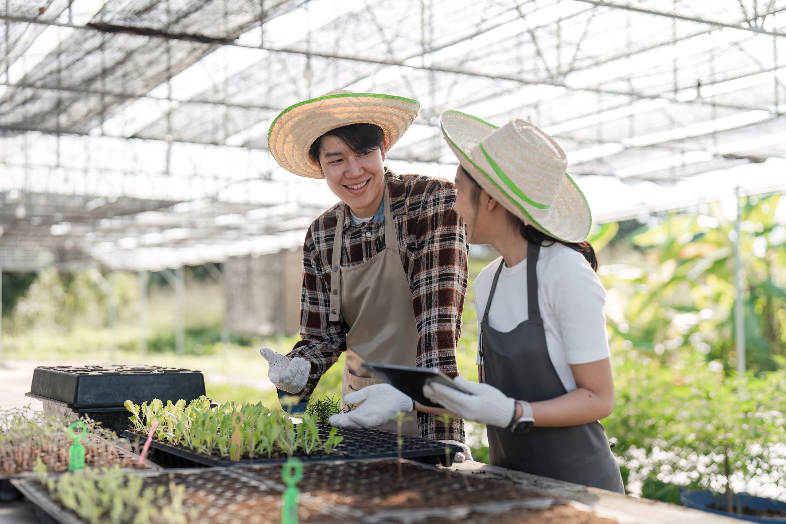 The Latest Farming Methods to Enhance Crop Production.